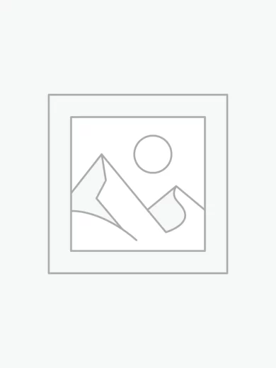 Uncategorized